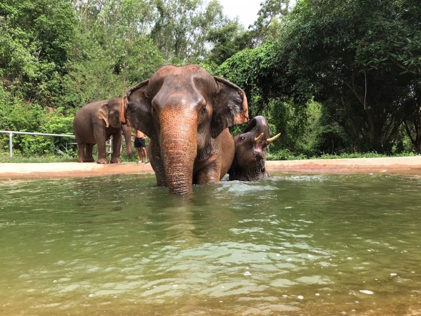 From Bangkok: Pattaya Ethical Elephant Sanctuary Day Trip - Additional Information