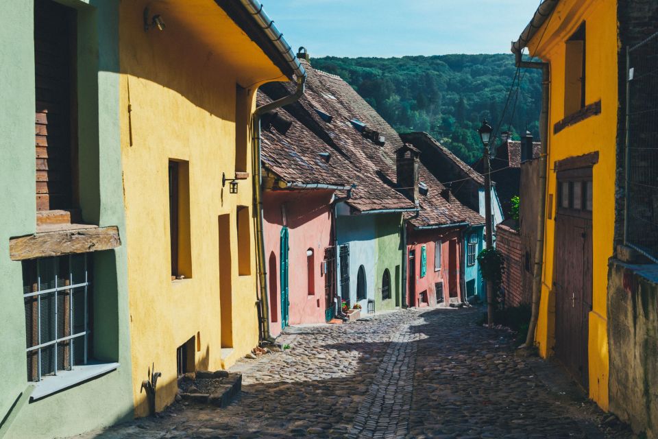 From Brasov: Day Trip to Sighisoara & Viscri - Additional Information