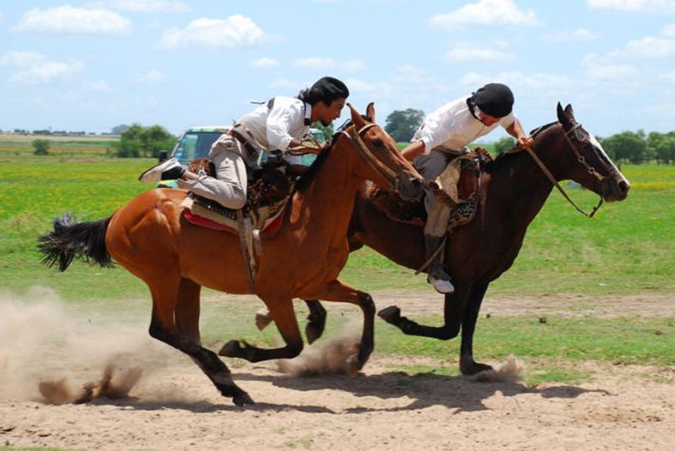 From Buenos Aires: Estancia Don Silvano Tour With Lunch. - Booking Information and Ratings