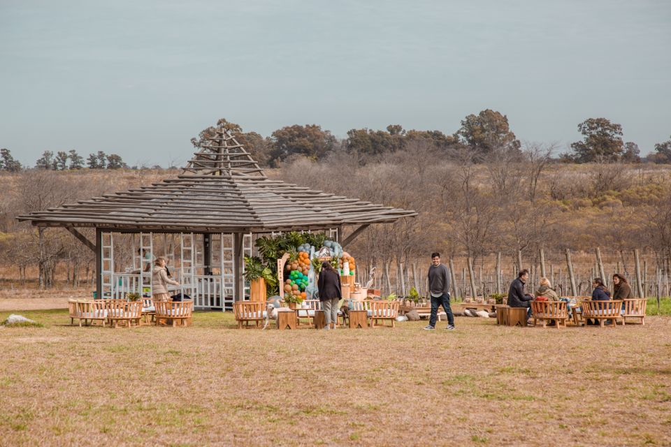 From Buenos Aires: Vineyard Tour With Wine Tasting and Lunch - Additional Details