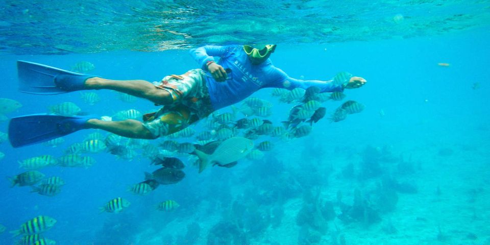 From Cancún: Cozumel Snorkeling Tour - Directions