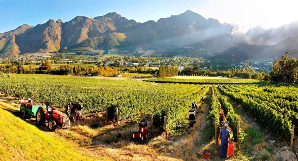 From Cape Town: 3 Regions Wine Tour Incl 3 Estates, 15 Wines - Last Words