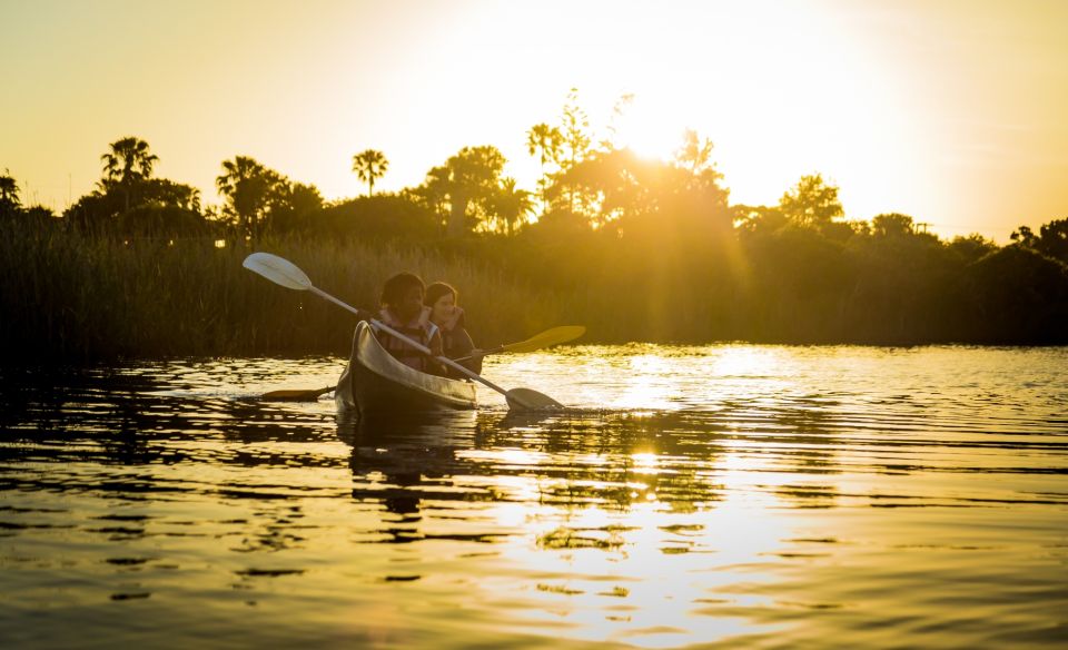 From Cape Town: 5-Day Best of Garden Route and Addo Safari - Day 4: Tsitsikamma Adventure