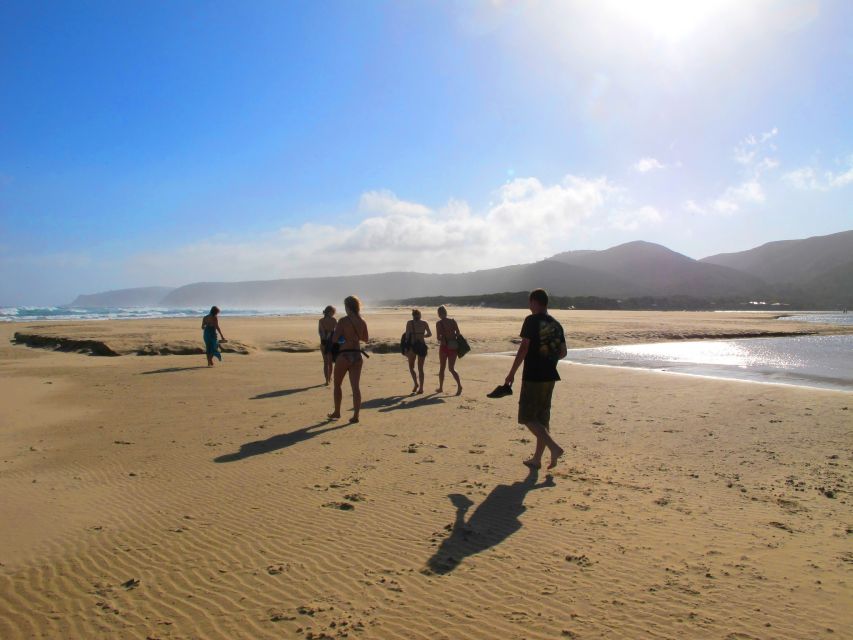 From Cape Town: 7 Day Garden Route, Addo and Winelands Combo - Customer Reviews and Rating Summary