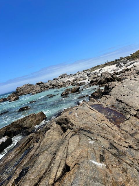 From Cape Town: Cape of Good Hope and Penguins Shared Tour - Booking Information