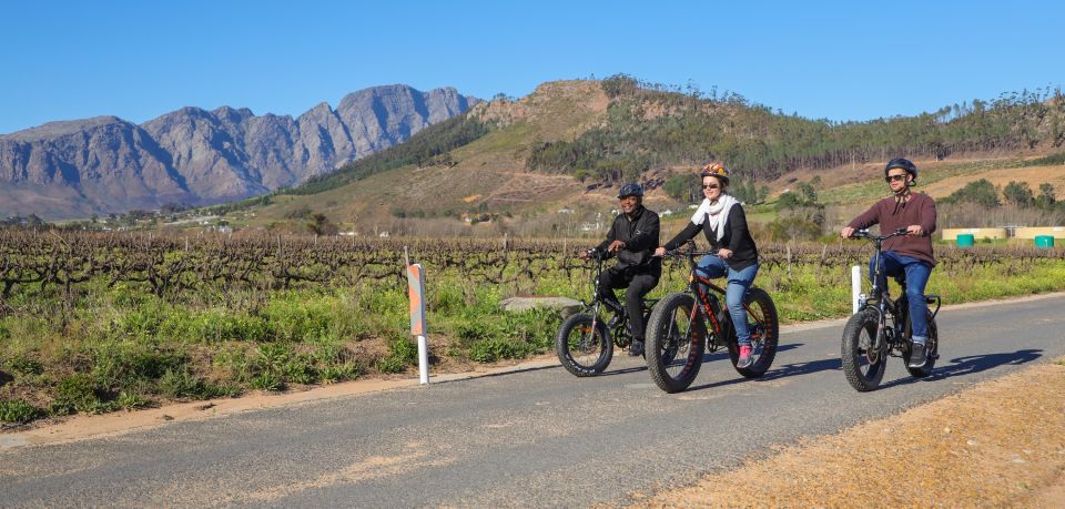 From Cape Town: E-Bike Winelands Tour - Common questions