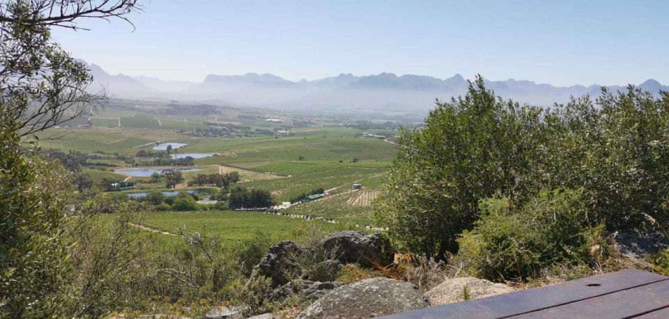 From Cape Town: Half-Day Winelands E-Bike Tour - Additional Information