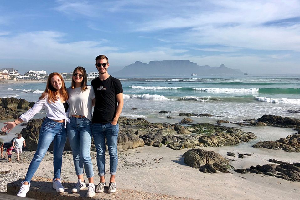 From Cape Town: Wildlife Safari, Olive, Beer & Wine Tasting - Common questions
