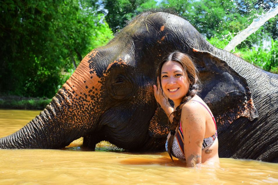 From Chiang Mai: Elephant Care Program and Nursery Tour - Additional Information