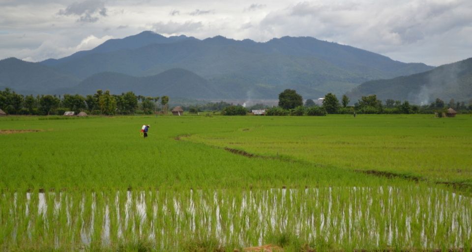 From Chiang Mai: Mae Taeng Valley and Waterfalls Cycle Tour - Customer Reviews and Recommendations