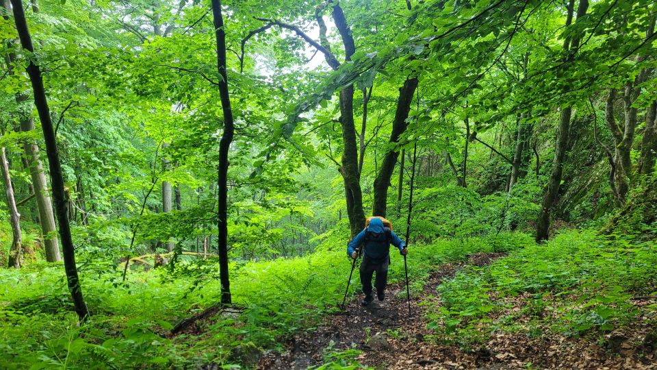 From Cluj-Napoca: Apuseni Mountains Hiking Guided Day Tour - Additional Information