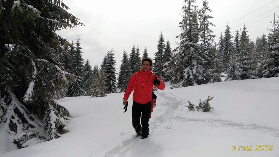 From Cluj: Winter Walking Trip on the Great Mountain - Full Description and Wintery Adventure