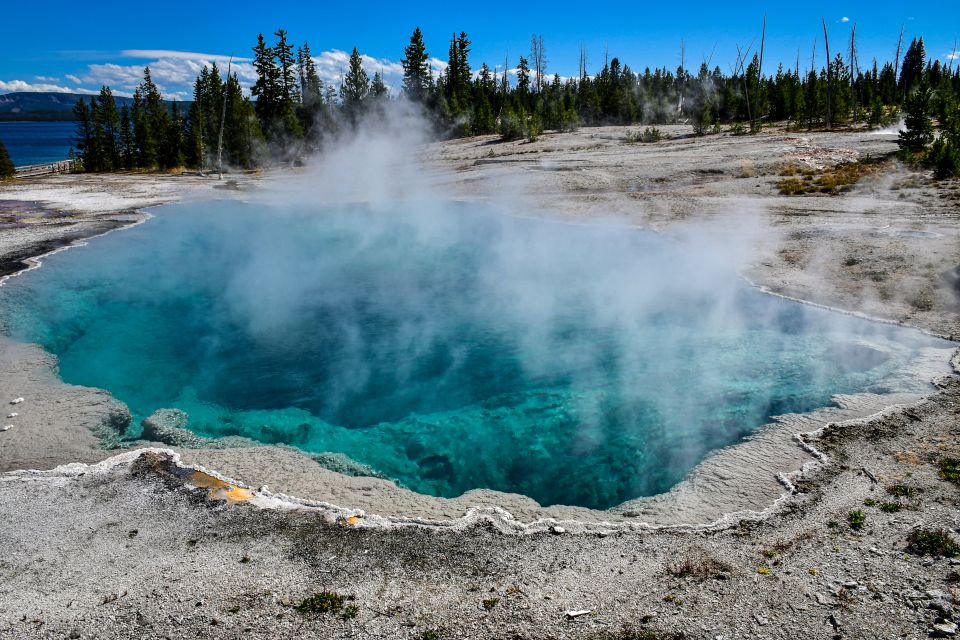 From Cody: Full-Day Yellowstone National Park Tour - Booking and Flexibility