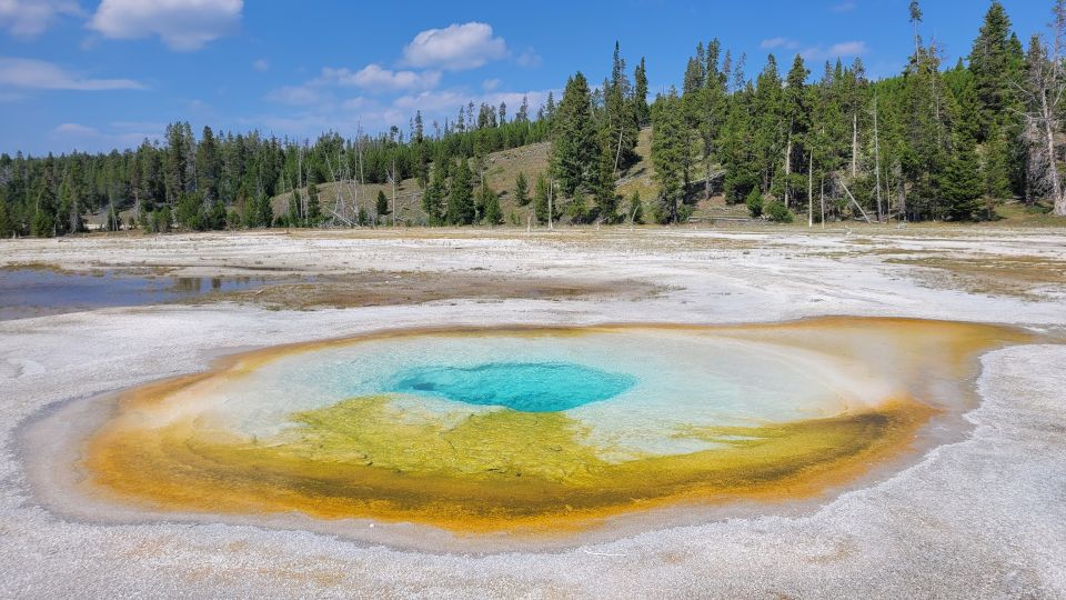 From Cody: Yellowstone National Park Private Day Tour - Booking Information