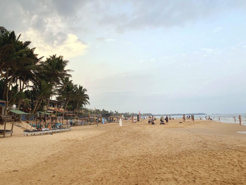 From Colombo: Bentota Day Tour and Hikkaduwa Beach Tour - Key Features