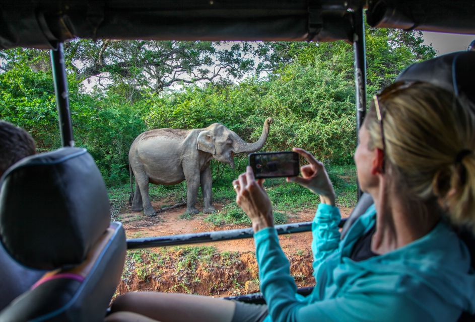From Colombo : Yala National Park Safari Tour - Travel Arrangements