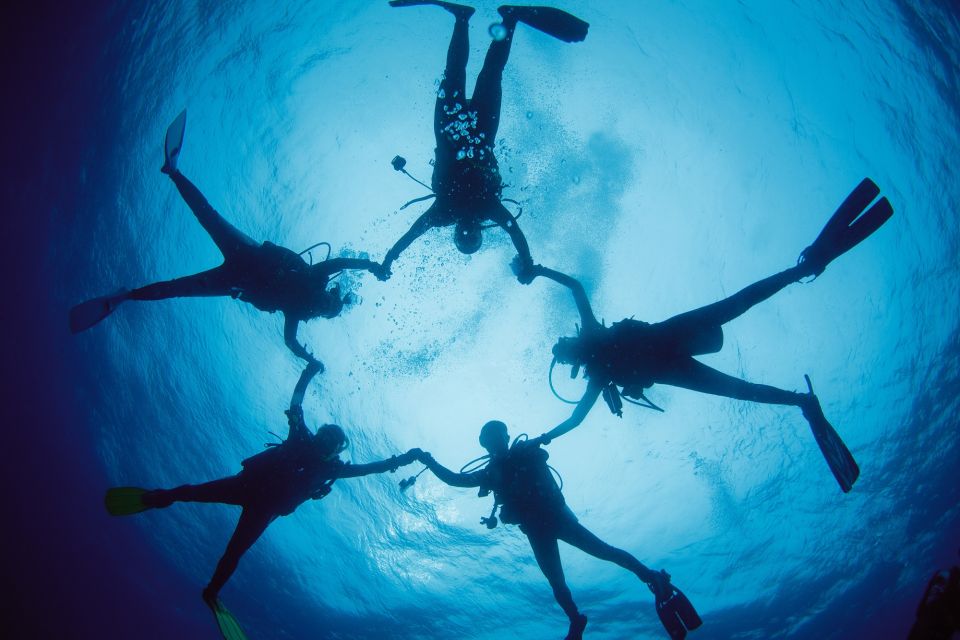 From Dahab: Diving Day Trip at The Canyon and Blue Hole - Customer Reviews