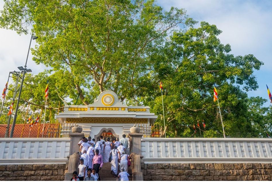 From Dambulla: Guided Tour to Ancient City of Anuradhapura - Common questions