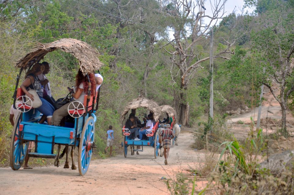 From Dambulla: Sigiriya Rock, Village, and Minneriya Tour - Minneriya National Park Safari