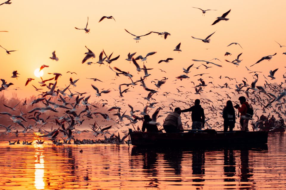 From Delhi: 7-Day Private Golden Triangle Trip to Varanasi - Tour Inclusions