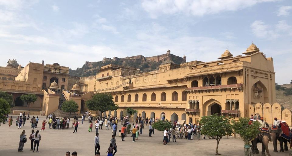From Delhi: Private Jaipur Guided, City Tour With Transfers - Common questions