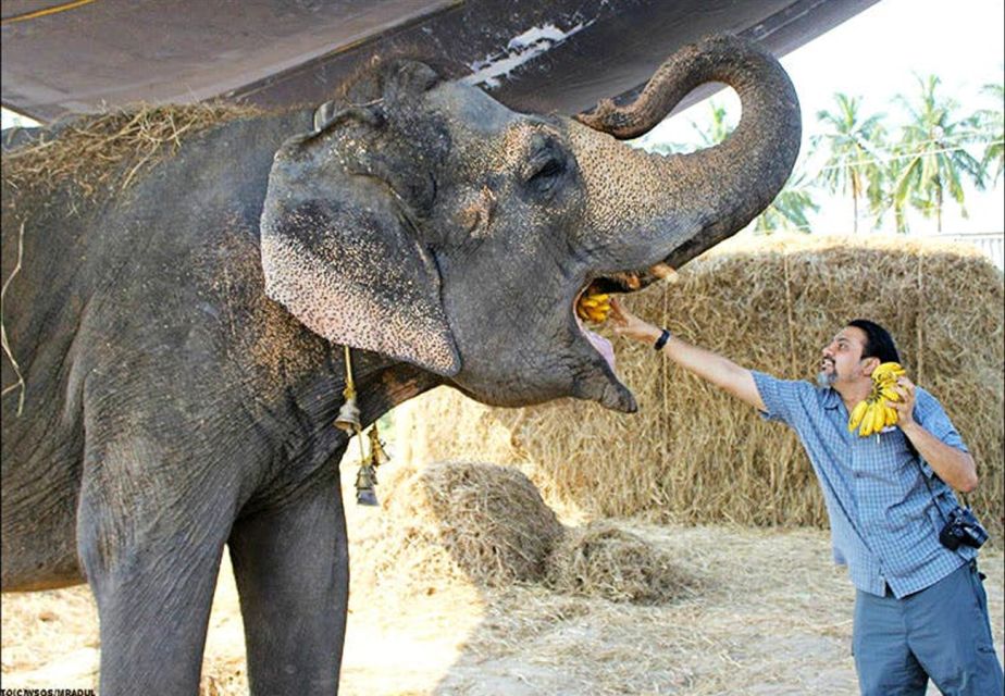 From Delhi: Taj Mahal Tour With Elephant Conservation Centre - Background