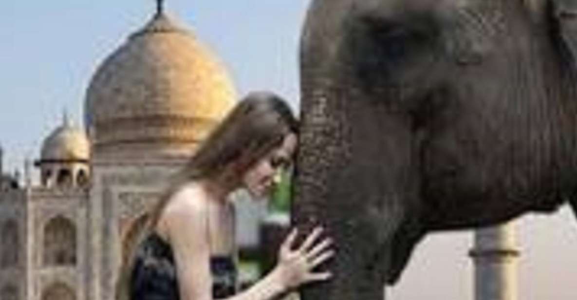 From Delhi: Taj Mahal With Elephant & Bear SOS - Additional Information