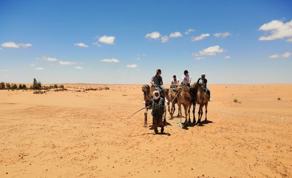 From Djerba Midun: 2-Day Desert and Ancient Cottage Tour - Customer Experience and Feedback