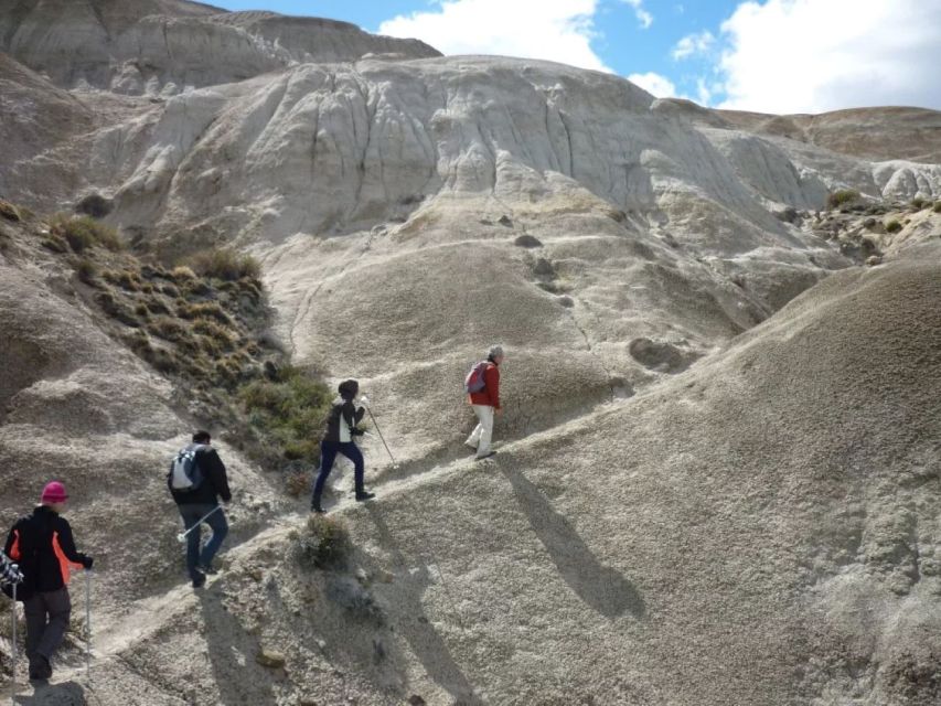 From El Calafate: La Leona Petrified Forest Day Trip - Additional Information