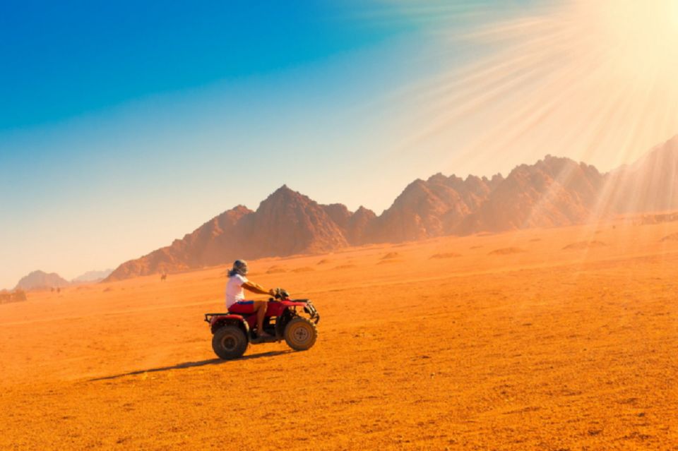 From EL Gouna: ATV Quad Safari, Bedouin Village & Camel Ride - Location & Product ID