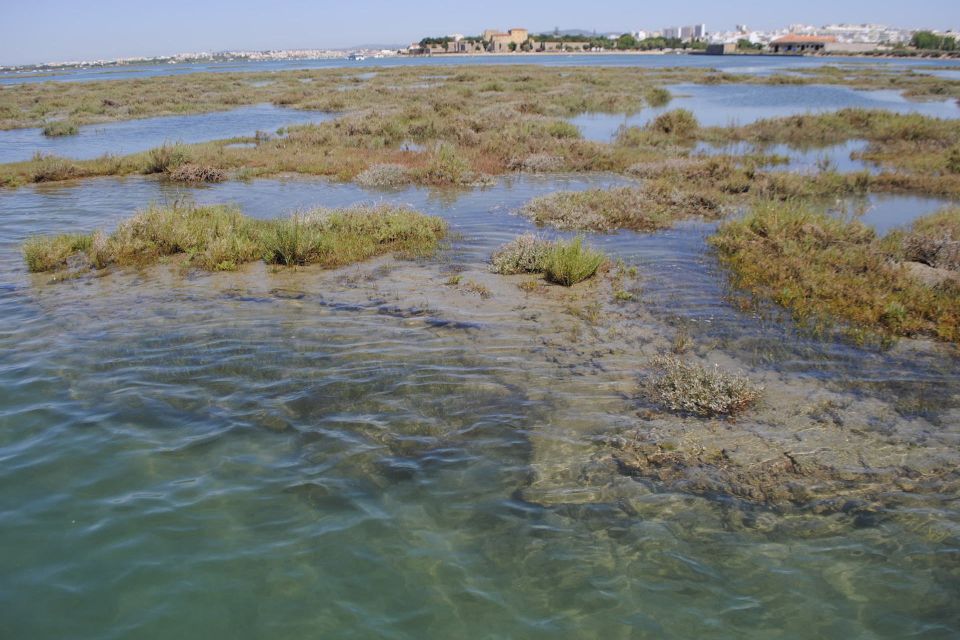 From Faro: Ria Formosa Lagoon Boat Tour With Local Guide - Customer Reviews