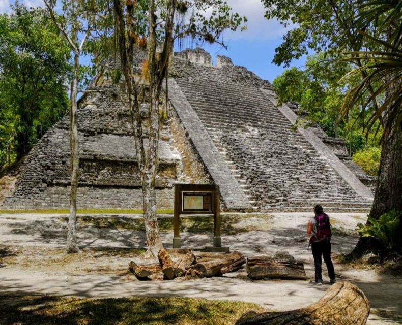 From Flores: Tikal National Park Private Day Trip With Lunch - Last Words