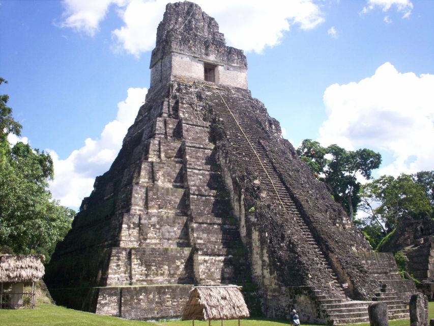 From Flores: Tikal Ruins Guided Day Trip - Guide Insights