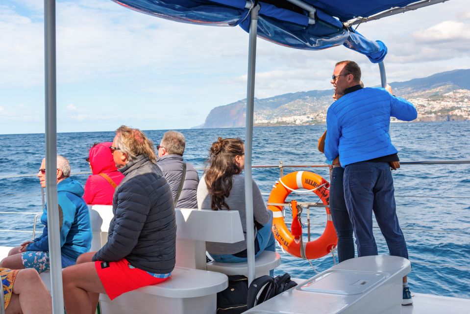 From Funchal: Madeira Dolphin and Whale Watching Tour - Inclusions and Additional Information