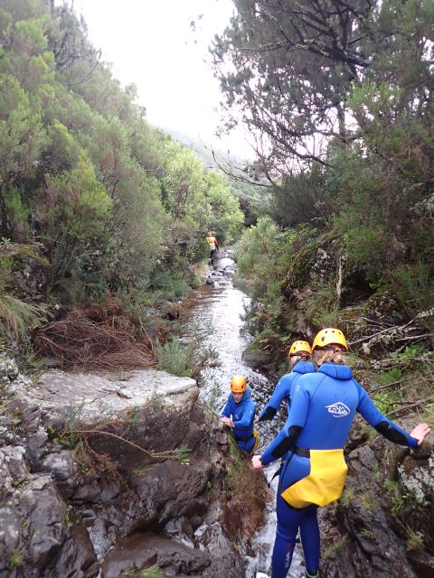 From Funchal: Madeira Island Canyoning for Beginners - Additional Information