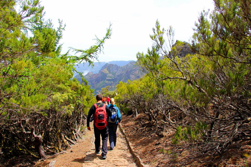 From Funchal: Madeira Peaks Mountain Walk - Tour Experience of Madeira Peaks Mountain Walk