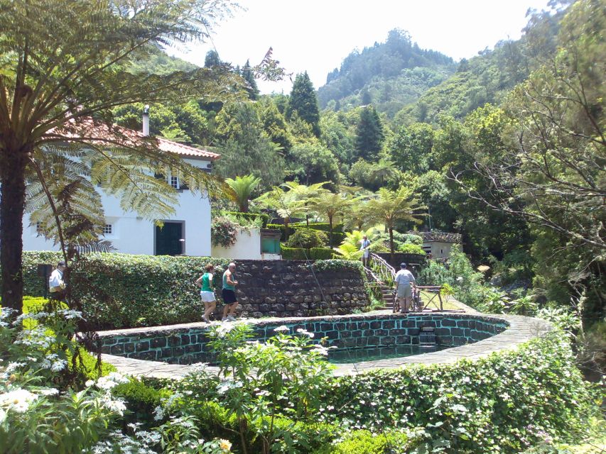 From Funchal: Pico Areiro & A-framed Houses Tour - Tour Ratings and Location