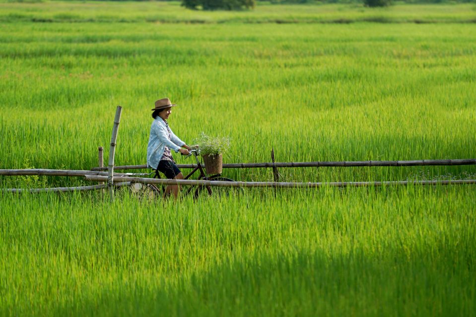 From HCM: Mekong Delta & Cai Rang Floating Market 2-Day Tour - Customer Reviews