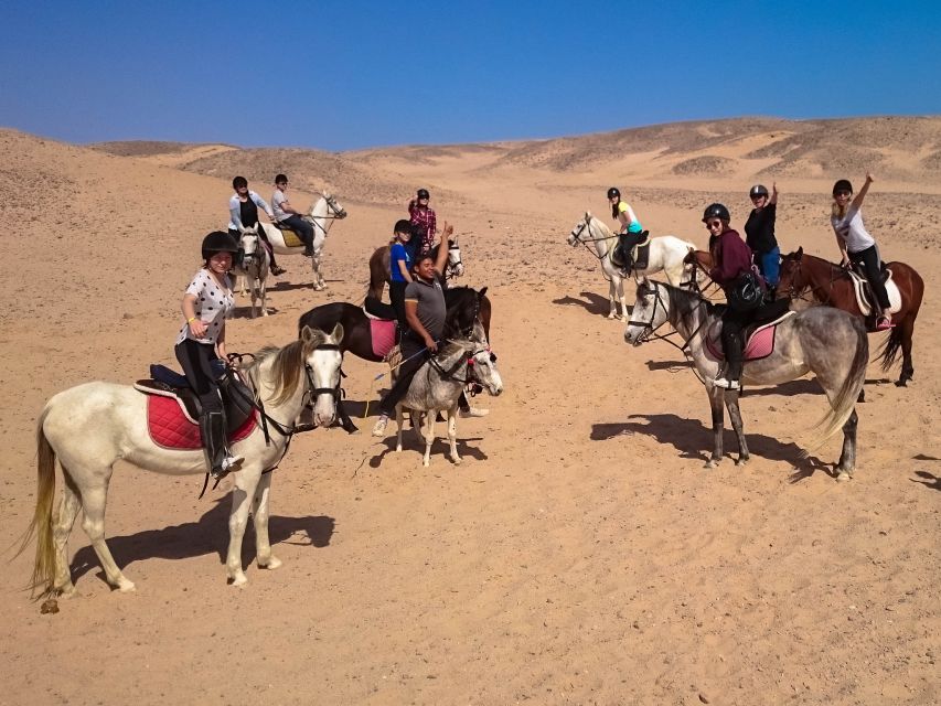 From Hurghada: Makadi Bay Horse Riding Tour - Customer Feedback