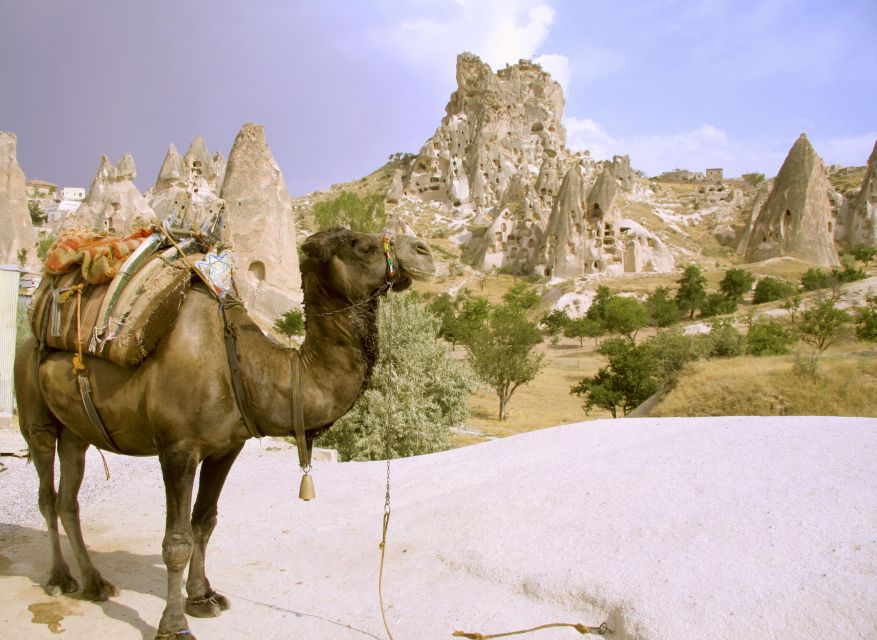 From Istanbul: All Inclusive Private Day Trip to Cappadocia - Pricing and Additional Information