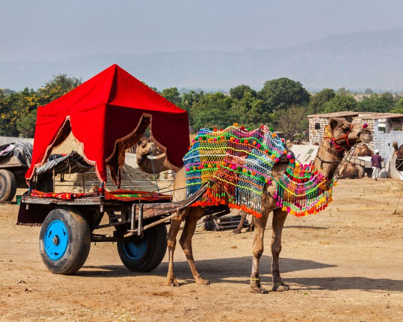 From Jaipur : Private Ajmer Pushkar Tour by Cab - Private Cab Experience