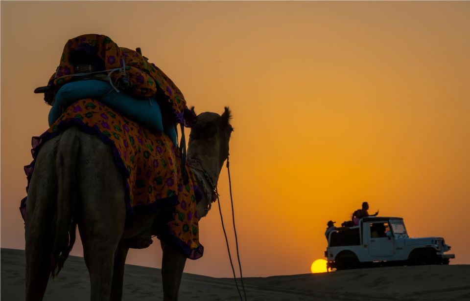From Jodhpur : 2 Day Jaisalmer Highlight Tour By Car - Inclusions and Services Provided