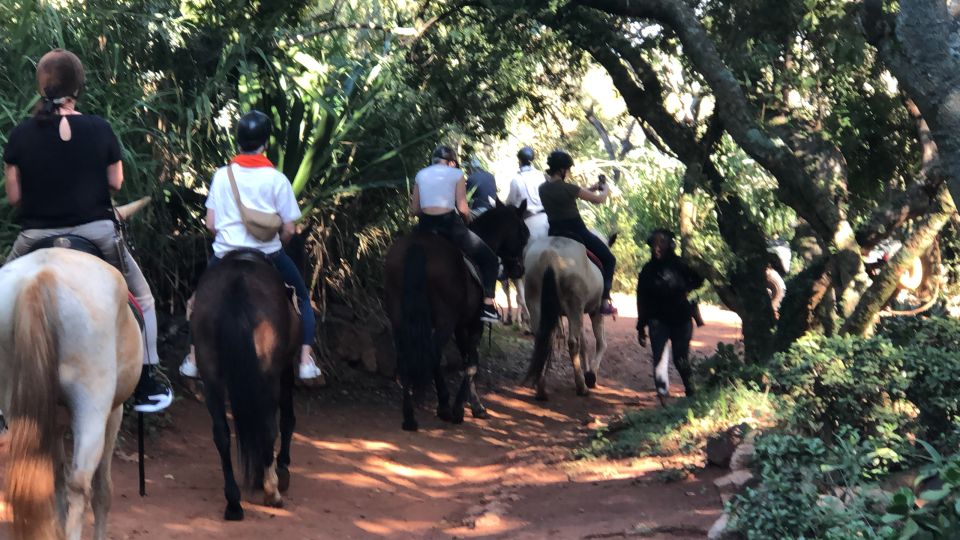 From Johannesburg: Horse-Riding Safari and Cable Car Tour - General Information