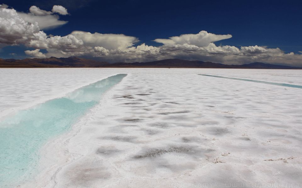 From Jujuy: Salinas Grandes With Purmamarca - Booking Details