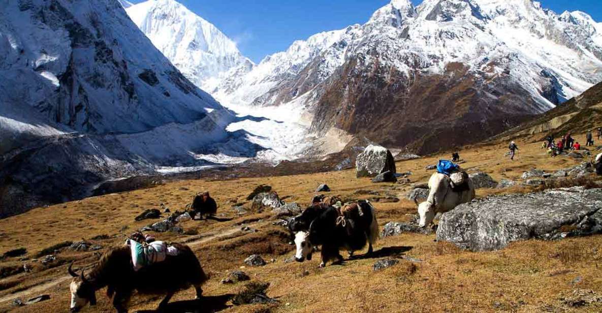 From Kathmandu :11-Day Guided Manasalu Circuit Trek - Common questions