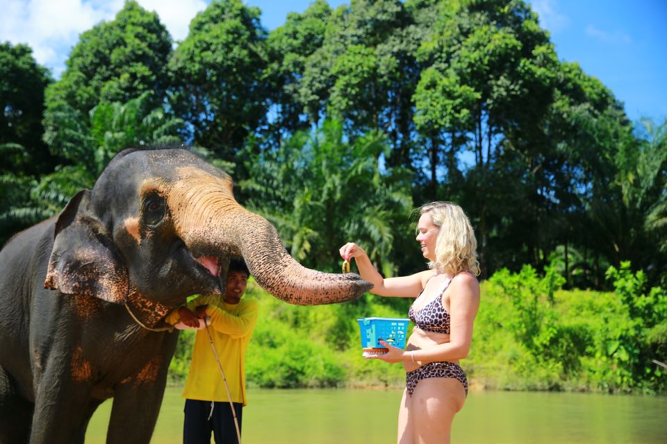 From Khao Lak: Day Trip to Khao Sok With Elephant Camp Visit - Review Summary and Location Details