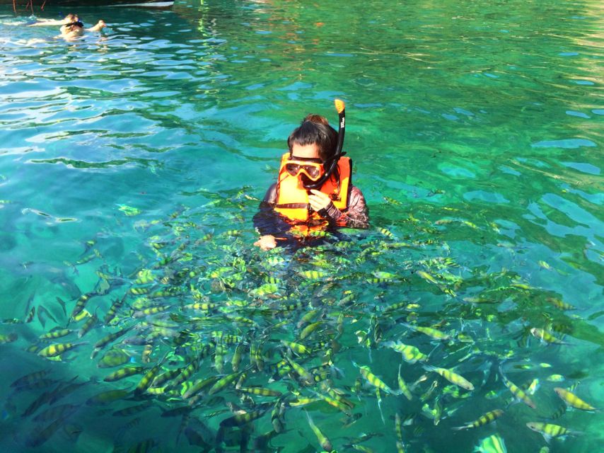 From Krabi: 4 Islands Snorkeling Tour by Speed Boat - Common questions