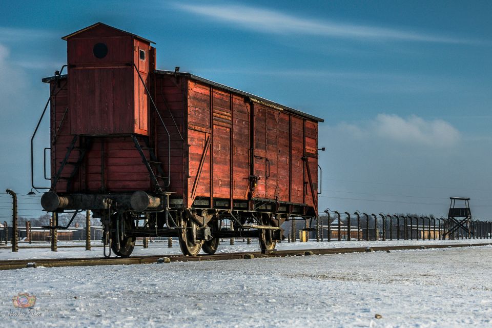 From Krakow: Auschwitz Birkenau Tour With Transportation - Review Summary