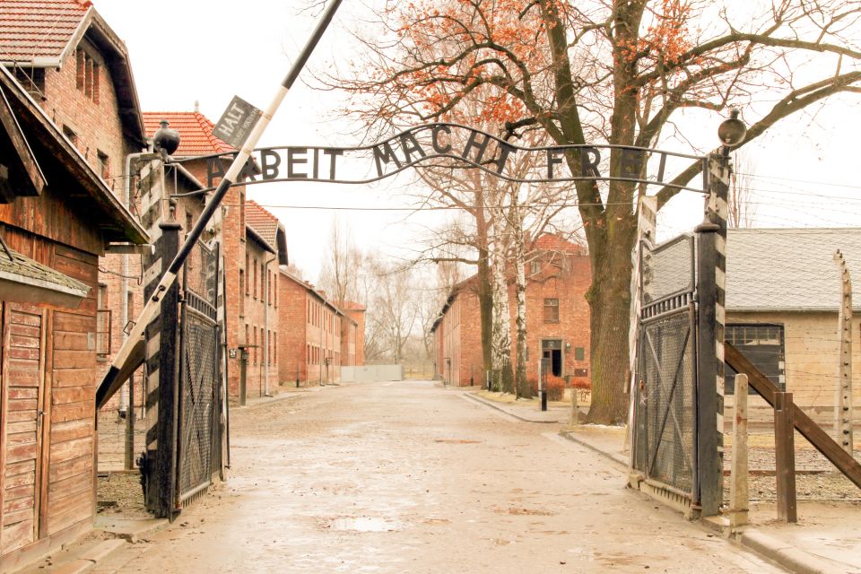 From Krakow: Auschwitz-Birkenau Tour With Transportation - Positive Feedback and Recommendations