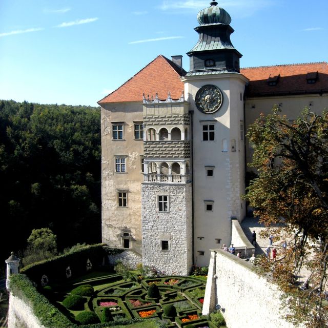 From Kraków: Ojców National Park and Pieskowa Skała Castle - Safety Measures